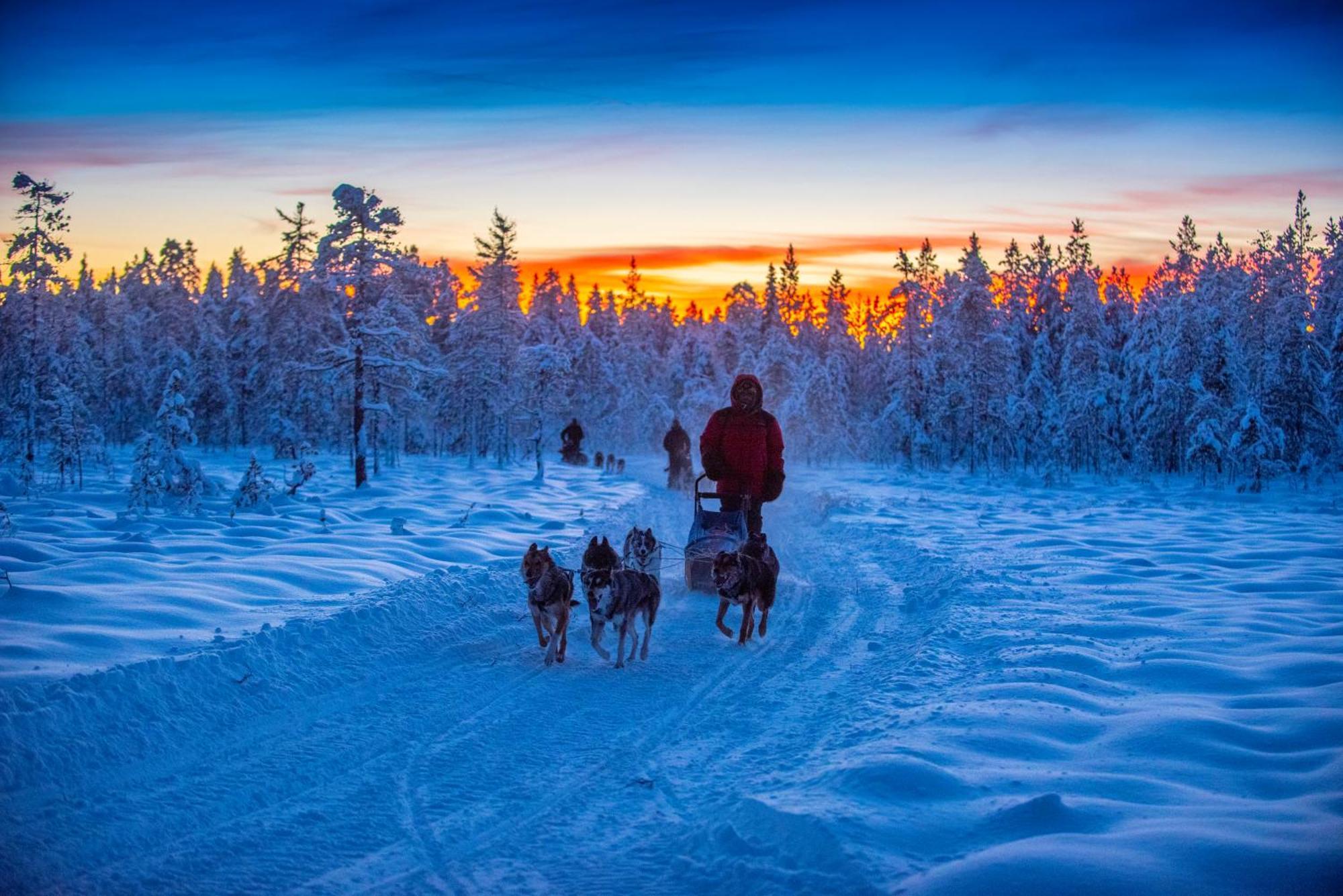 Arctic River Lodge Tarendo المظهر الخارجي الصورة